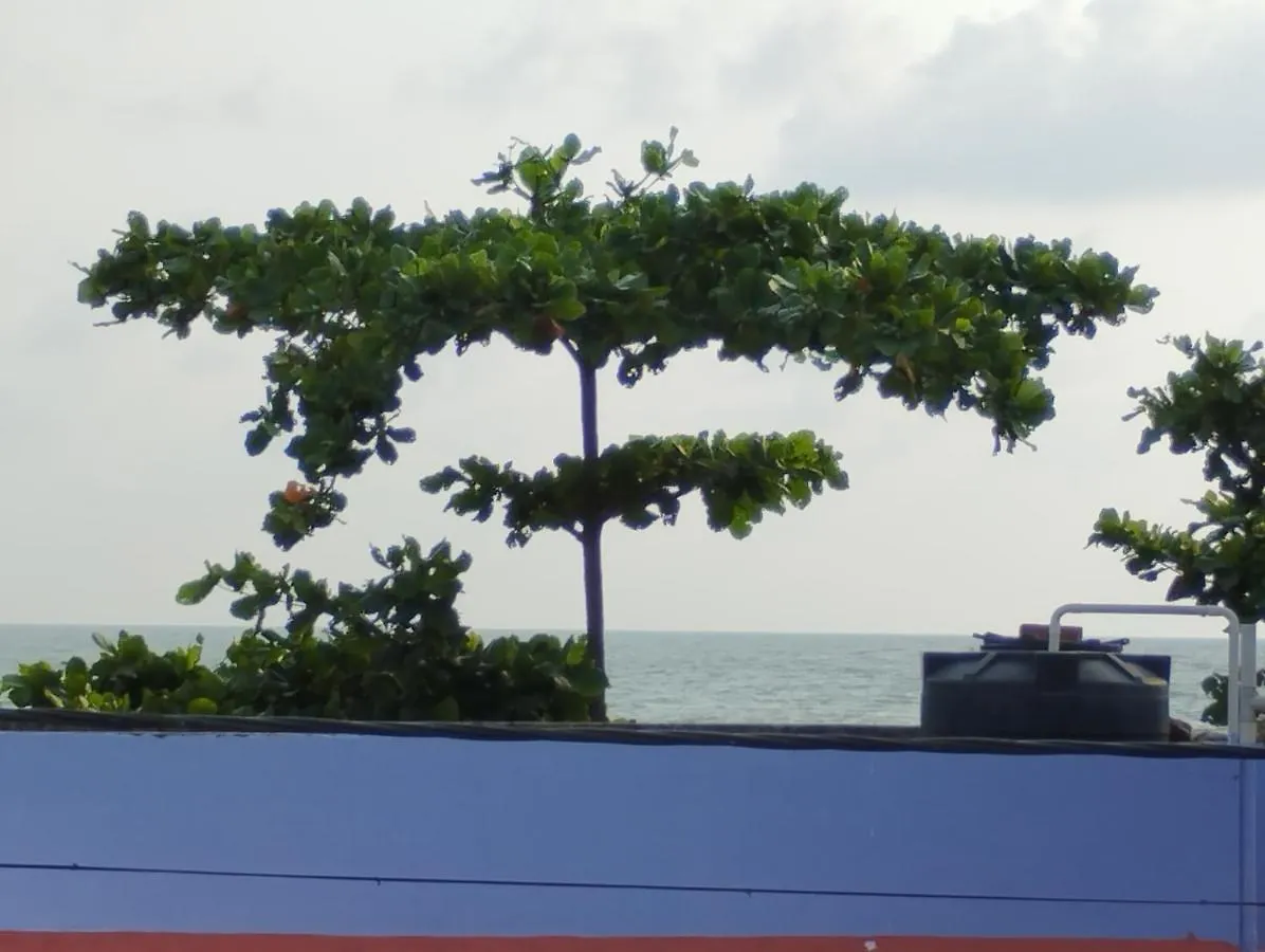 Dream Catcher Beach Home Alappuzha 民宿
